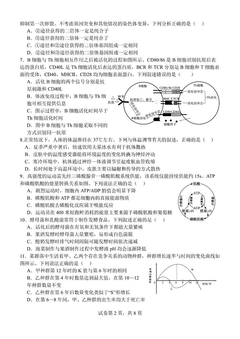 江苏省扬州中学2025届高三上学期1月月考生物试题+答案第2页