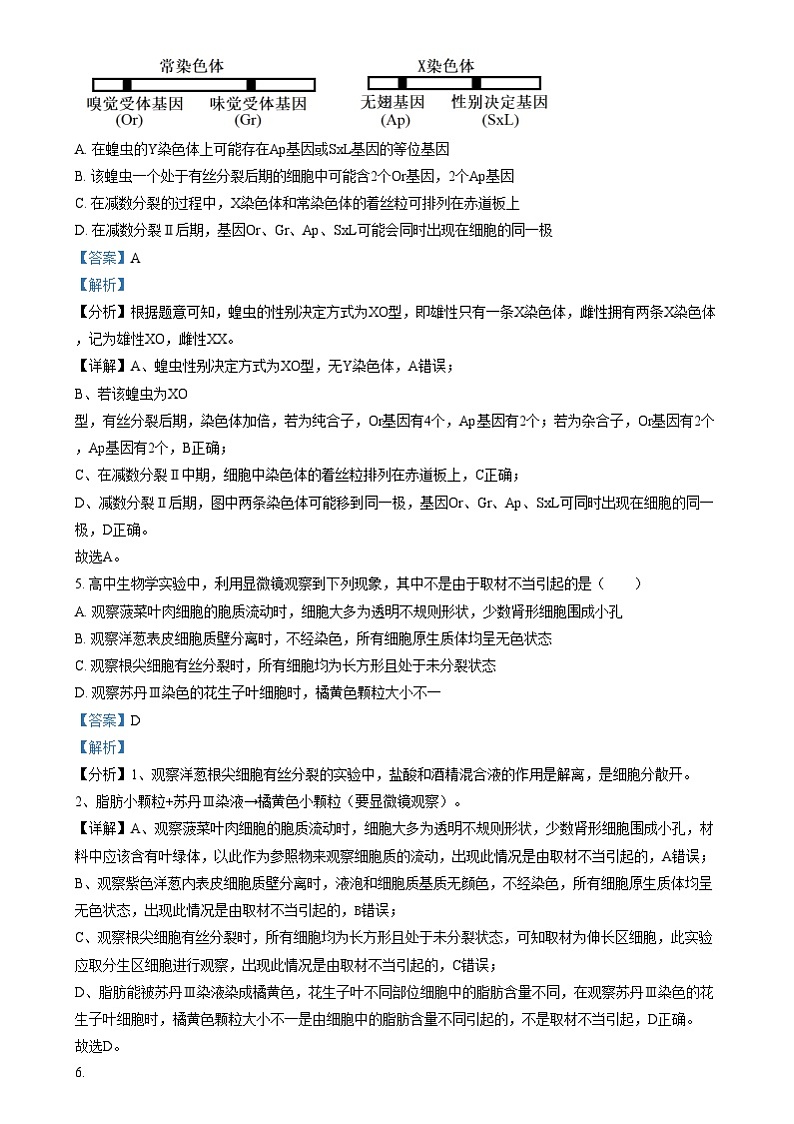 重庆市第八中学2024-2025学年高三上学期12月月考生物试卷(Word版附解析)第3页