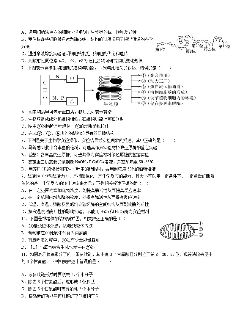 天津市静海区第一中学2024-2025学年高一上学期12月学生学业能力调研生物试卷(Word版附答案)第2页