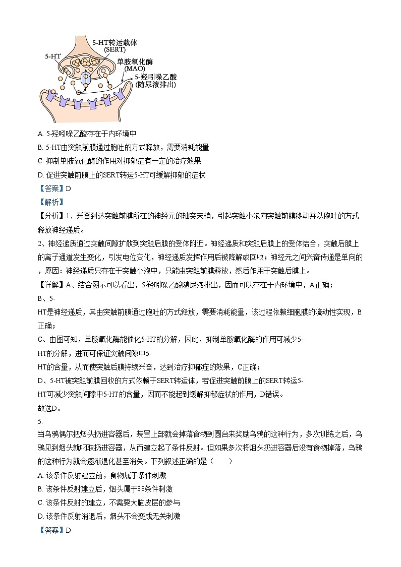 四川省雅安市雅安中學(xué)2024-2025學(xué)年高二上學(xué)期12月月考生物試卷（Word版附解析）第3頁