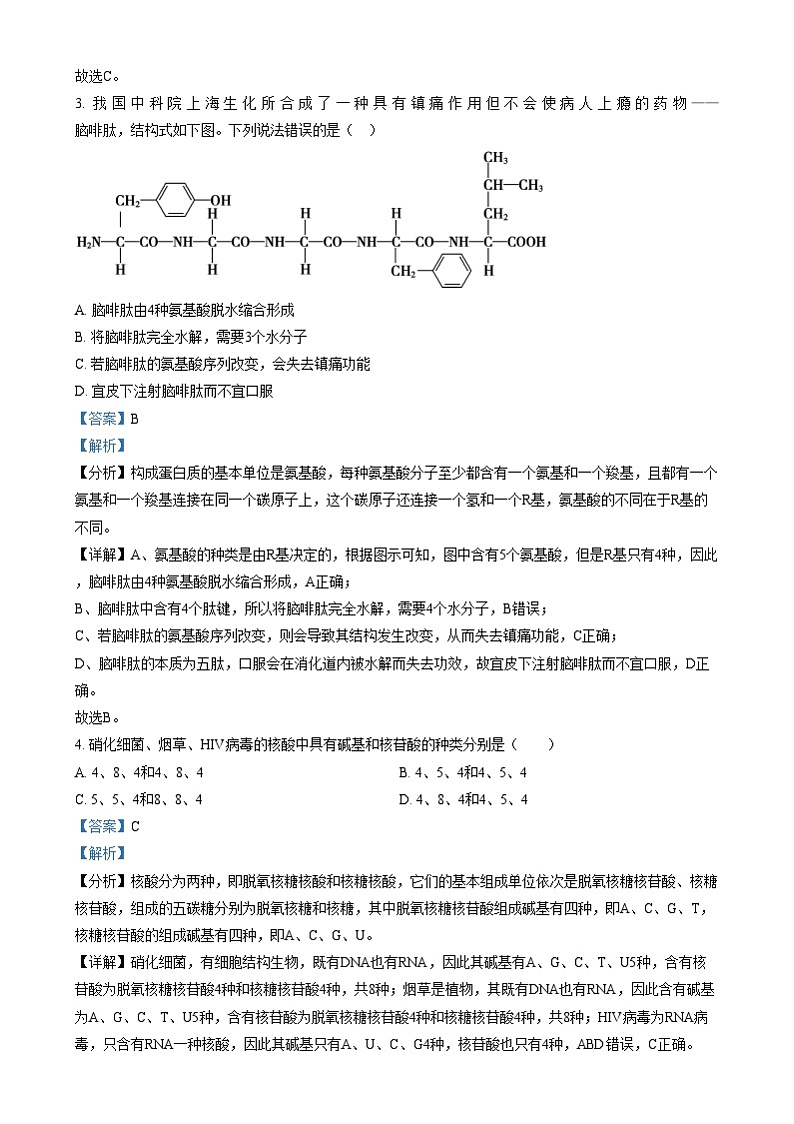 四川省南充市西充中学2024-2025学年高一上学期12月月考生物试卷(Word版附解析)第2页