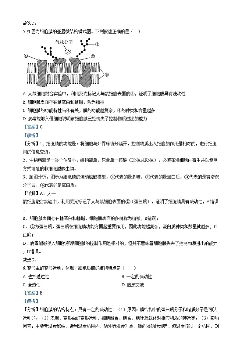 四川省南充市西充中学2024-2025学年高一上学期12月月考生物试卷(Word版附解析)第3页