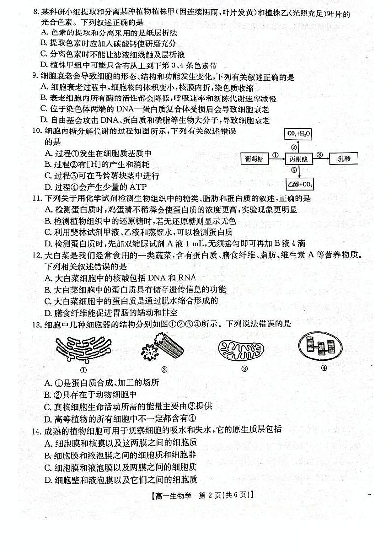 辽宁省辽阳市2024-2025学年高一上学期期末考试生物试卷(PDF版附答案)第2页