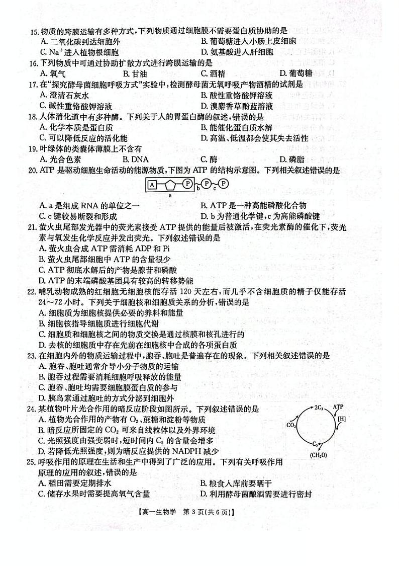辽宁省辽阳市2024-2025学年高一上学期期末考试生物试卷(PDF版附答案)第3页