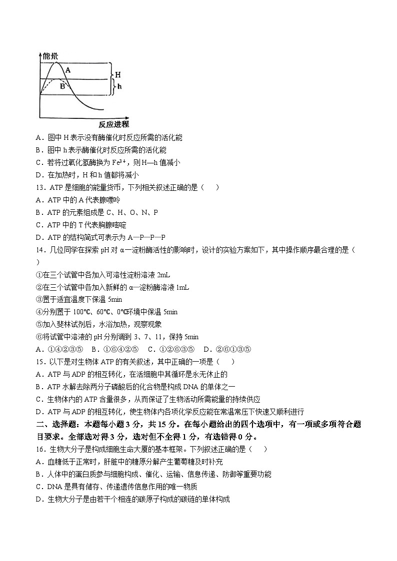 辽宁省辽南协作体2024-2025学年高一上学期第三次月考生物试卷(Word版附答案)第3页