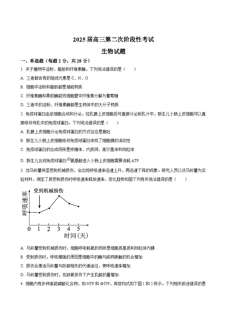 江苏省南菁高中、常州一中、南京二十九中等五校2025届高三上学期12月月考生物试卷(Word版附答案)第1页