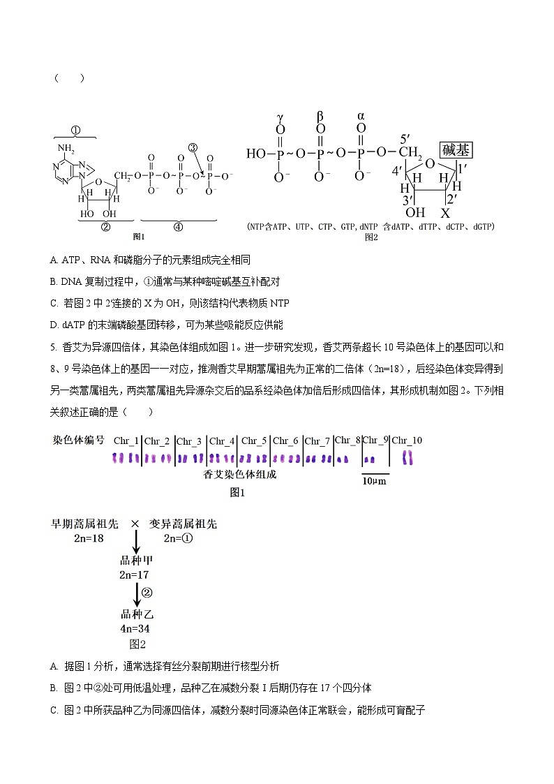 江苏省南菁高中、常州一中、南京二十九中等五校2025届高三上学期12月月考生物试卷(Word版附答案)第2页
