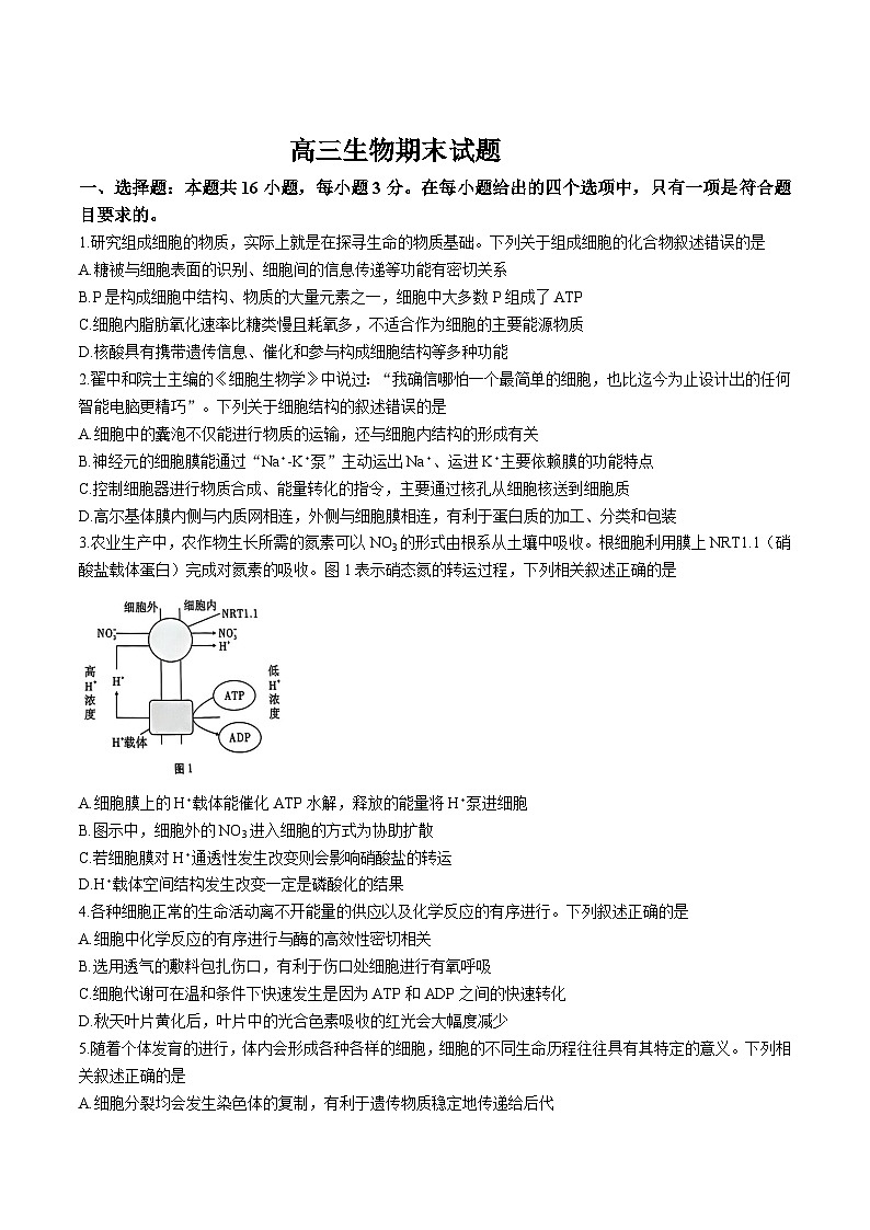 吉林省梅河口市第五中学2025届高三上学期期末考试生物试卷(Word版附答案)第1页