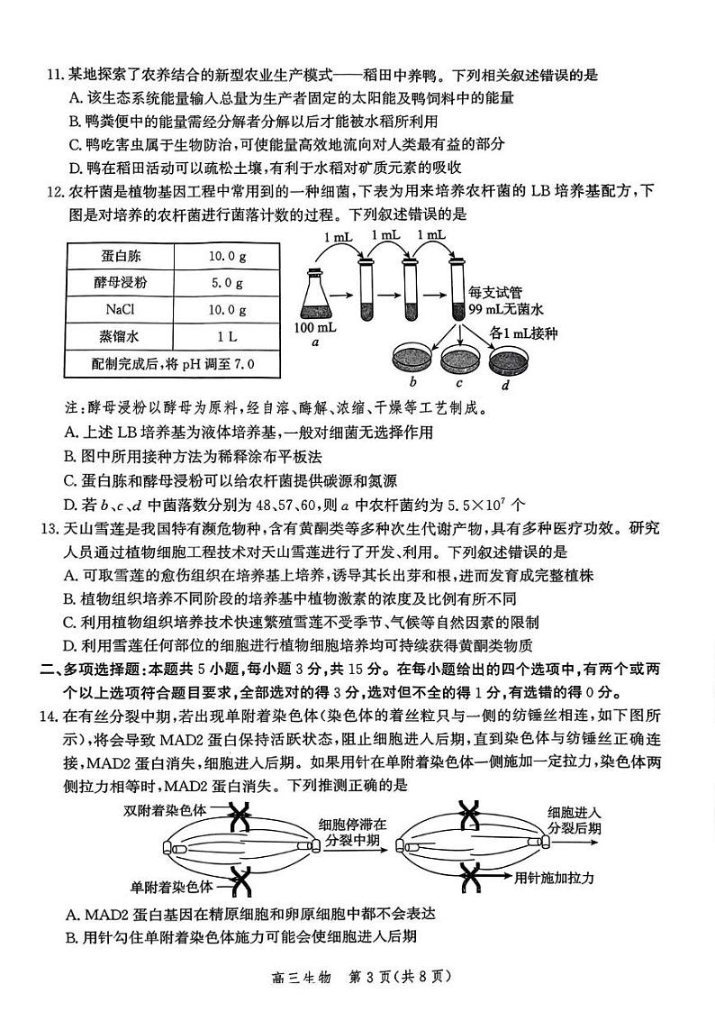 河北省邯郸市2025届高三第二次调研生物试卷第3页