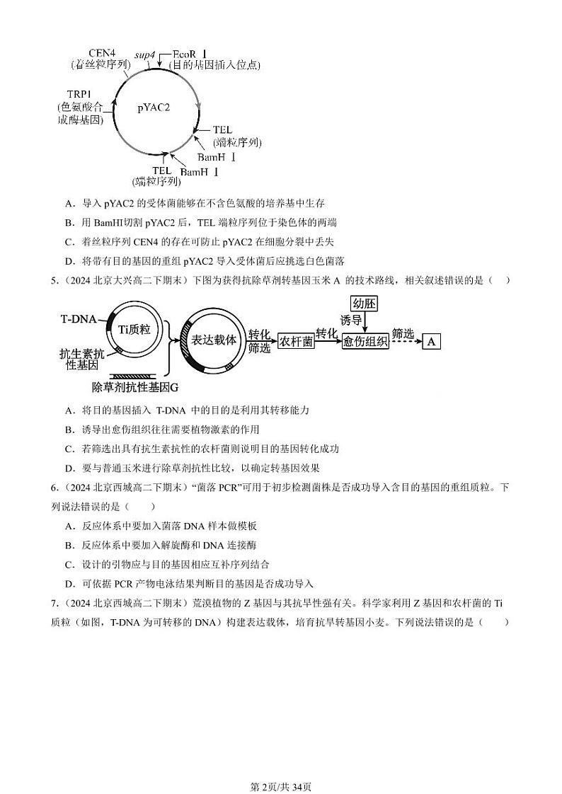 2024北京重点校高二(下)期末真题生物汇编:基因工程的基本操作程序第2页