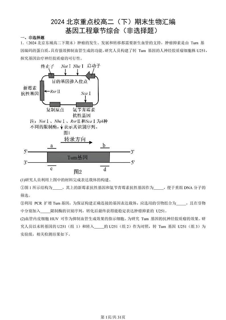 2024北京重点校高二(下)期末真题生物汇编:基因工程章节综合(非选择题)第1页
