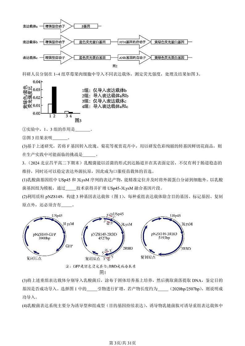 2024北京重点校高二(下)期末真题生物汇编:基因工程章节综合(非选择题)第3页