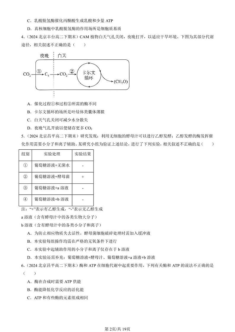2024北京重点校高二(下)期末真题生物汇编:细胞的能量供应和利用章节综合第2页