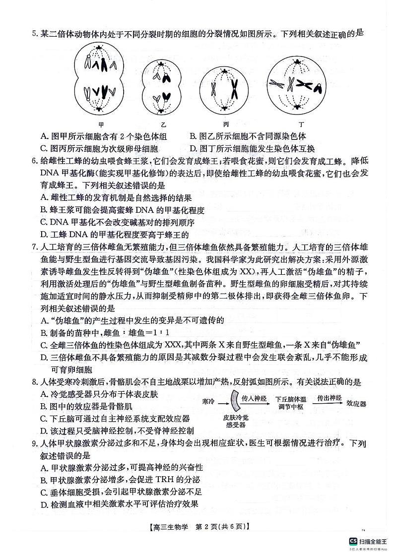 2025届贵州省多校高三10月联考生物试题第2页