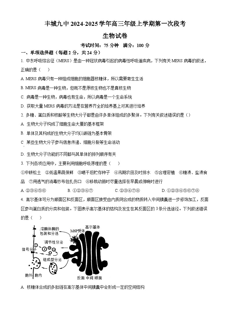 江西省宜春市丰城市第九中学2024-2025学年高三上学期第一次段考生物第1页