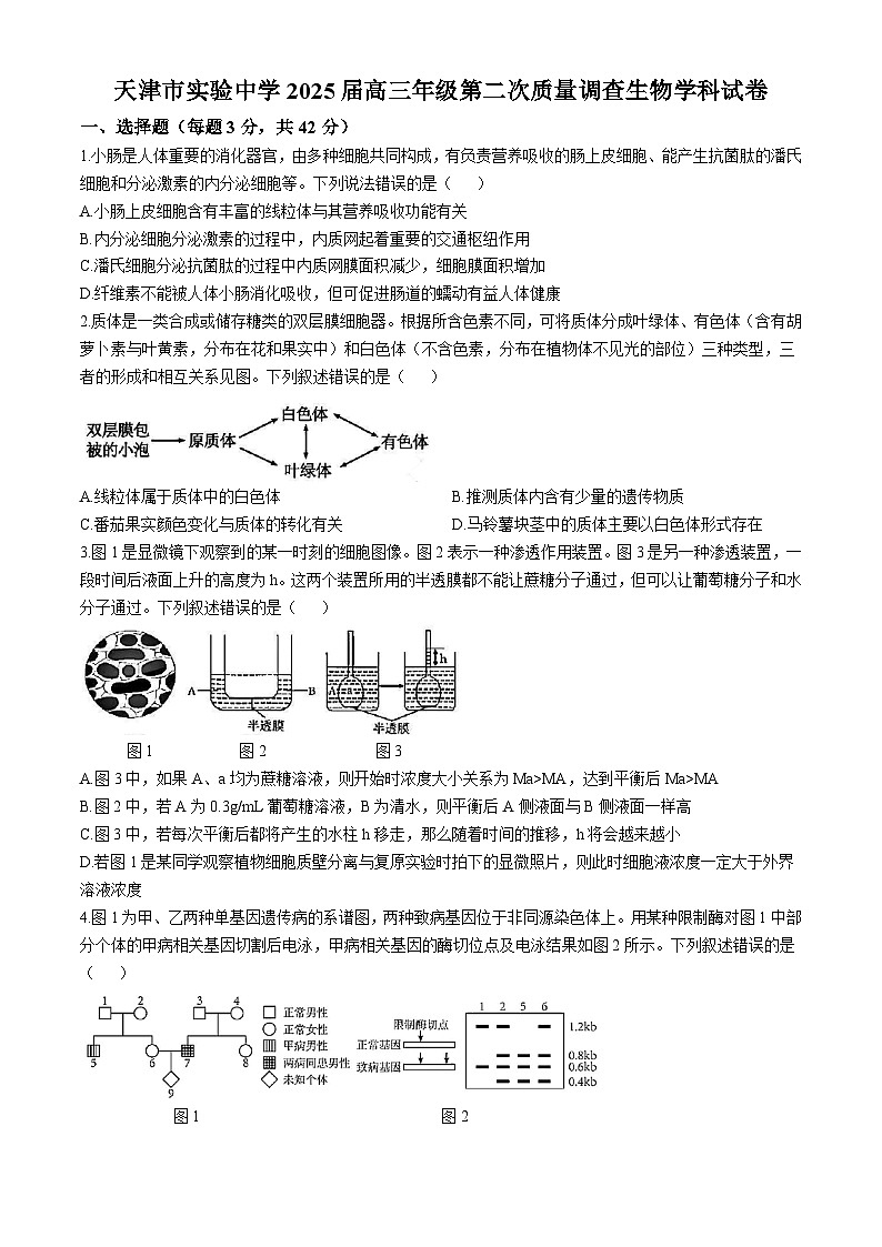 天津市实验中学2024-205学年高三上学期第二次月考试题 生物 Word版含答案第1页