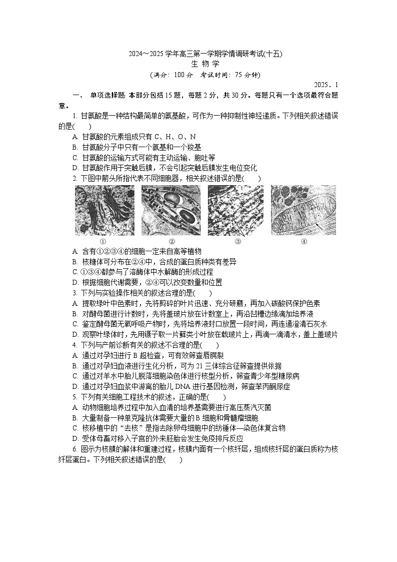 江苏省盐城市、南京市2024-2025学年高三上学期期末调研测试生物试题第1页