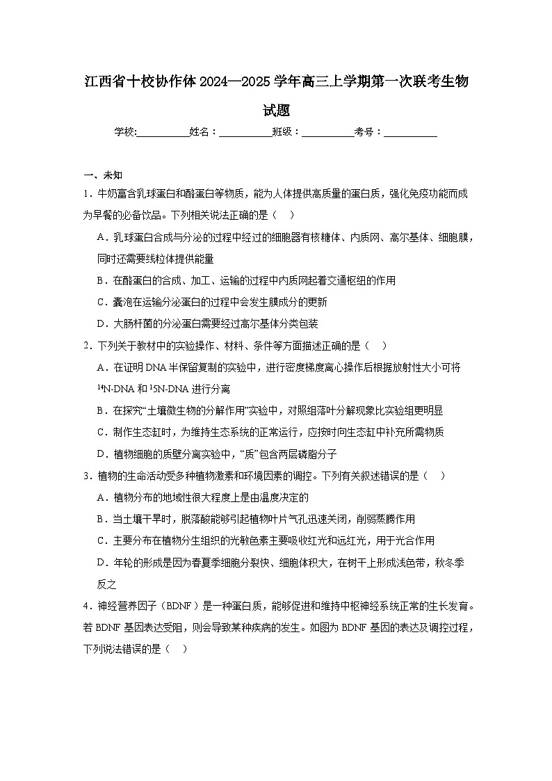 江西省十校协作体2024—2025学年高三上学期第一次联考生物试题第1页