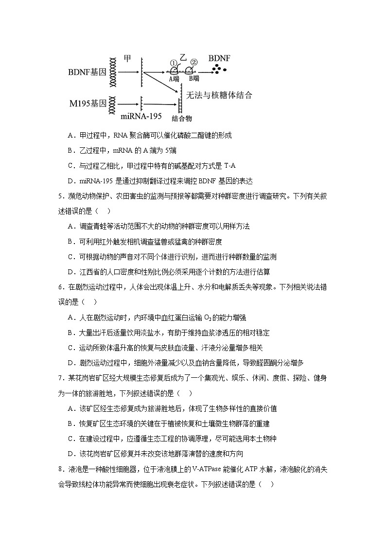 江西省十校协作体2024—2025学年高三上学期第一次联考生物试题第2页