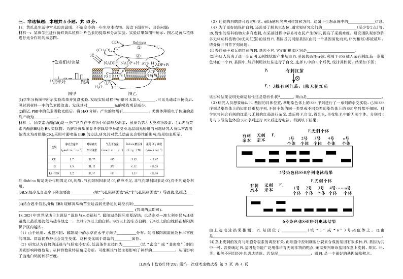 2025江西省十校协作体高三上学期第一次联考试题生物PDF版含解析(可编辑)第3页