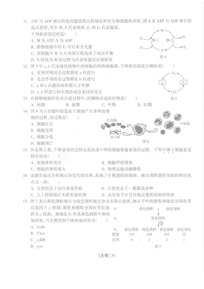 2025年福建省普通高中学业水平合格性考试练习生物(七)第3页