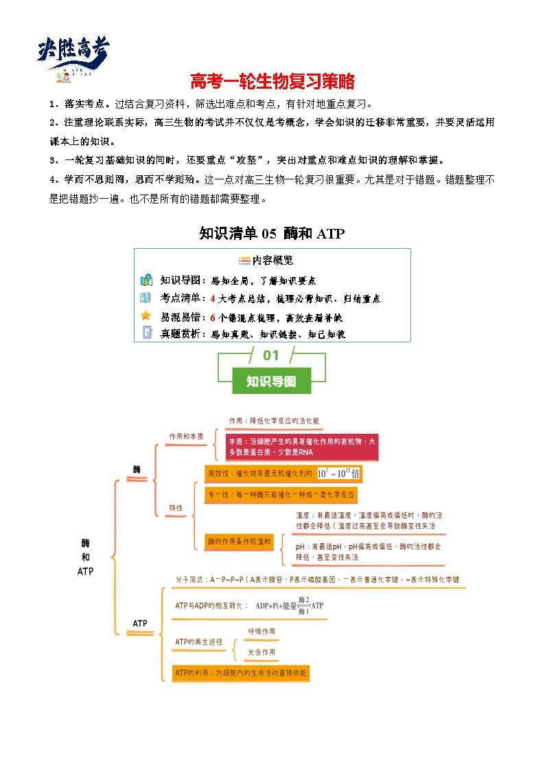 专题05 酶和ATP（讲练）--2025年高考生物一轮复习知识点