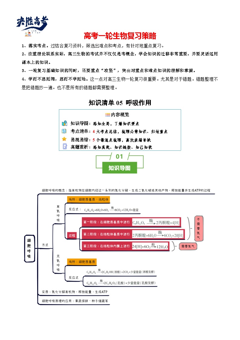 专题06 呼吸作用（讲练）--2025年高考生物一轮复习知识点