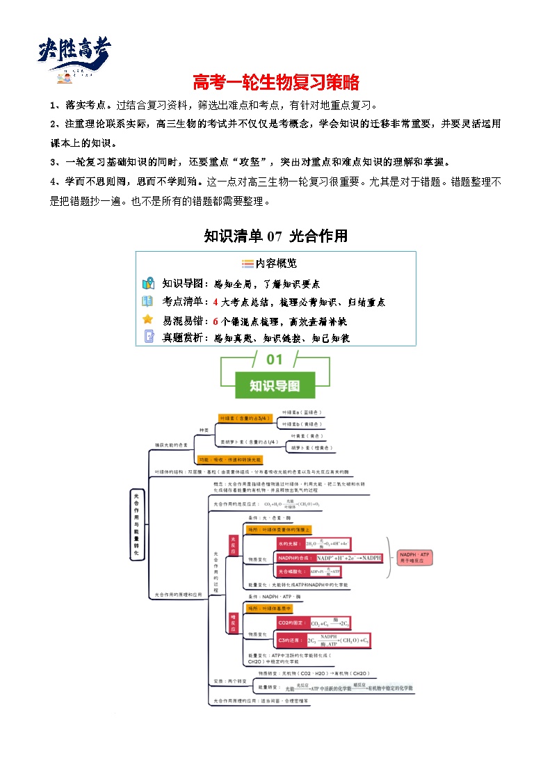 专题07 光合作用（讲练）--2025年高考生物一轮复习知识点