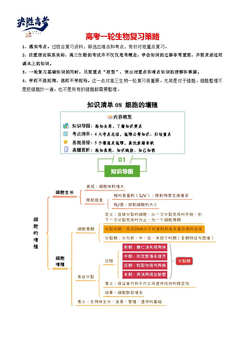 专题08 细胞的增殖（讲练）--2025年高考生物一轮复习知识点