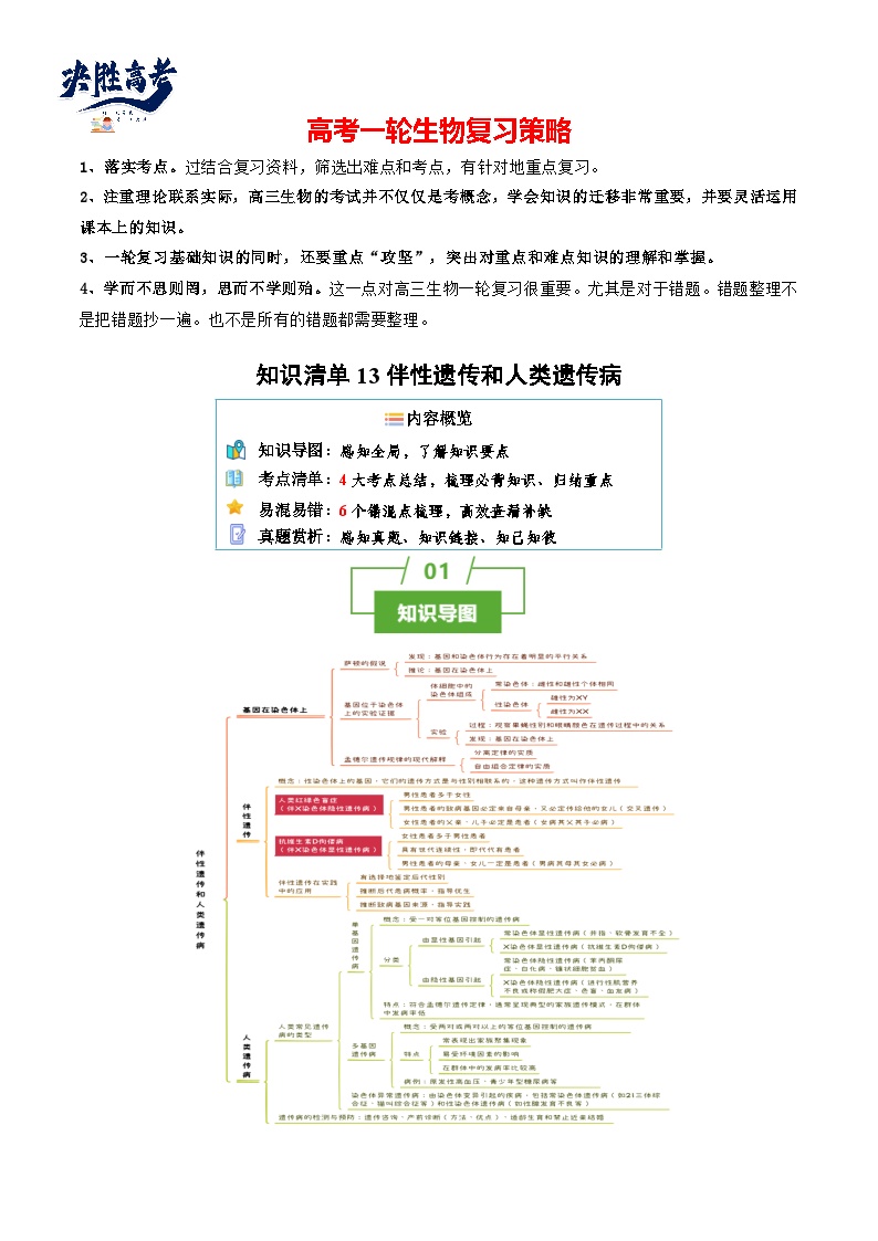 专题13 伴性遗传和人类遗传病（讲练）--2025年高考生物一轮复习知识点