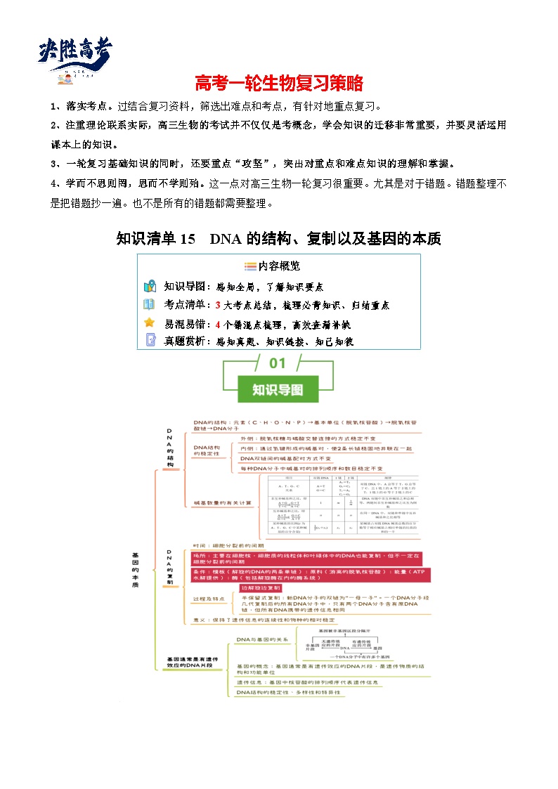 专题15 DNA的结构、复制以及基因的本质（讲练）--2025年高考生物一轮复习知识点