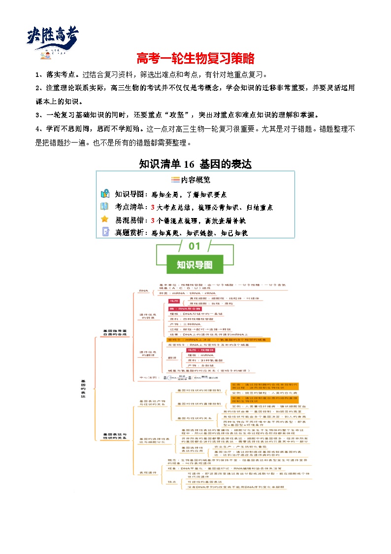 专题16 基因的表达（讲练）--2025年高考生物一轮复习知识点