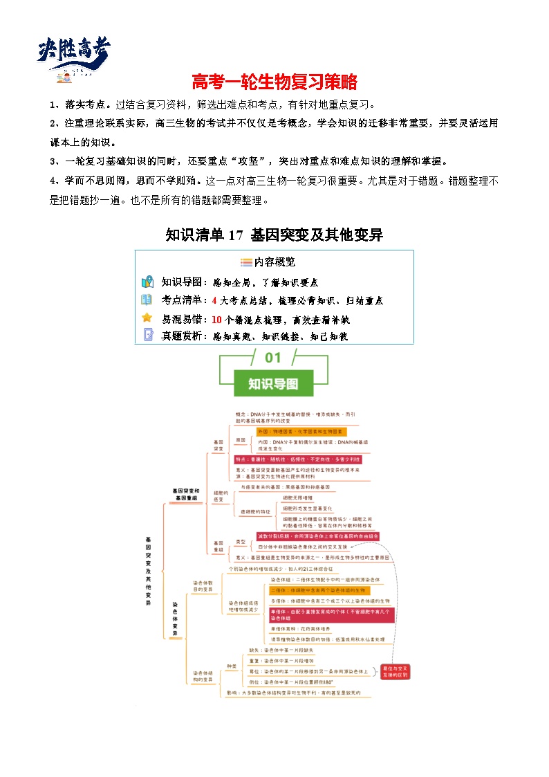 专题17 基因突变及其他变异（讲练）--2025年高考生物一轮复习知识点