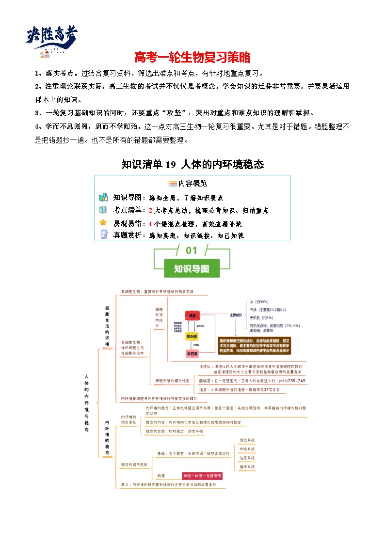 专题19 人体的内环境稳态（讲练）--2025年高考生物一轮复习知识点