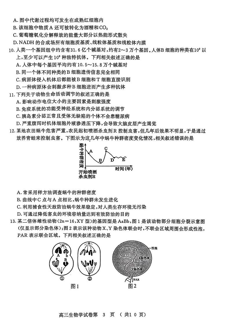 江苏省南京市、盐城市2025届高三上学期高考第一次模拟考-生物试题+答案第2页