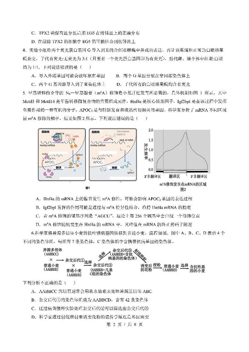 四川省成都市第七中学2024-2025学年高三上学期12月阶段性考试生物+答案第2页