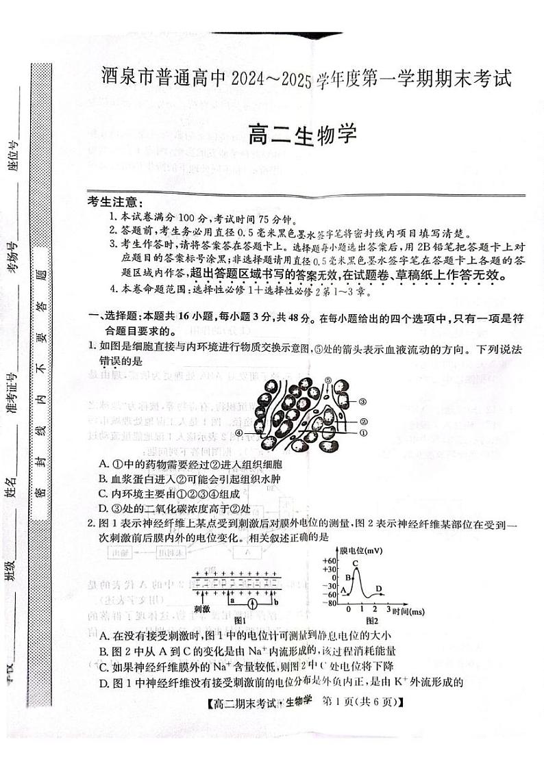 甘肃省酒泉市2024-2025学年高二上学期期末考试生物试题第1页
