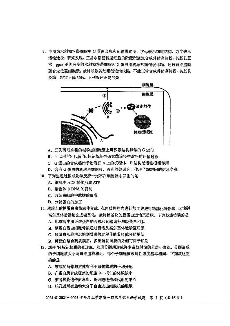 吉林省长春市东北师范大学附属中学2024-2025学年高一上学期1月期末考试生物试题第3页