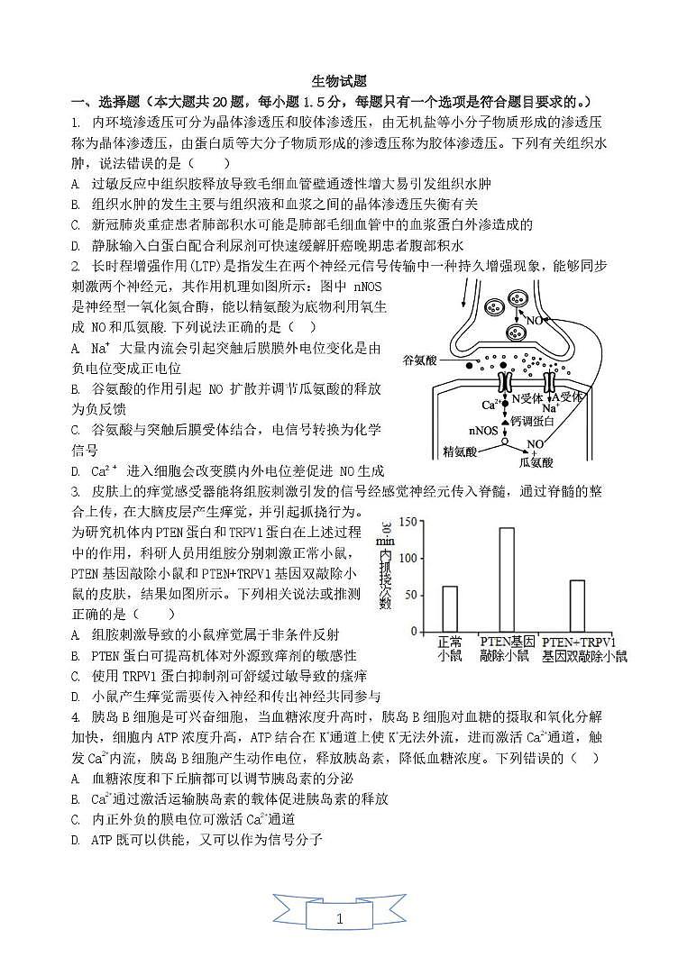 山东省德州市高中五校联考2024—2025学年高二上学期期末考试生物试题第1页