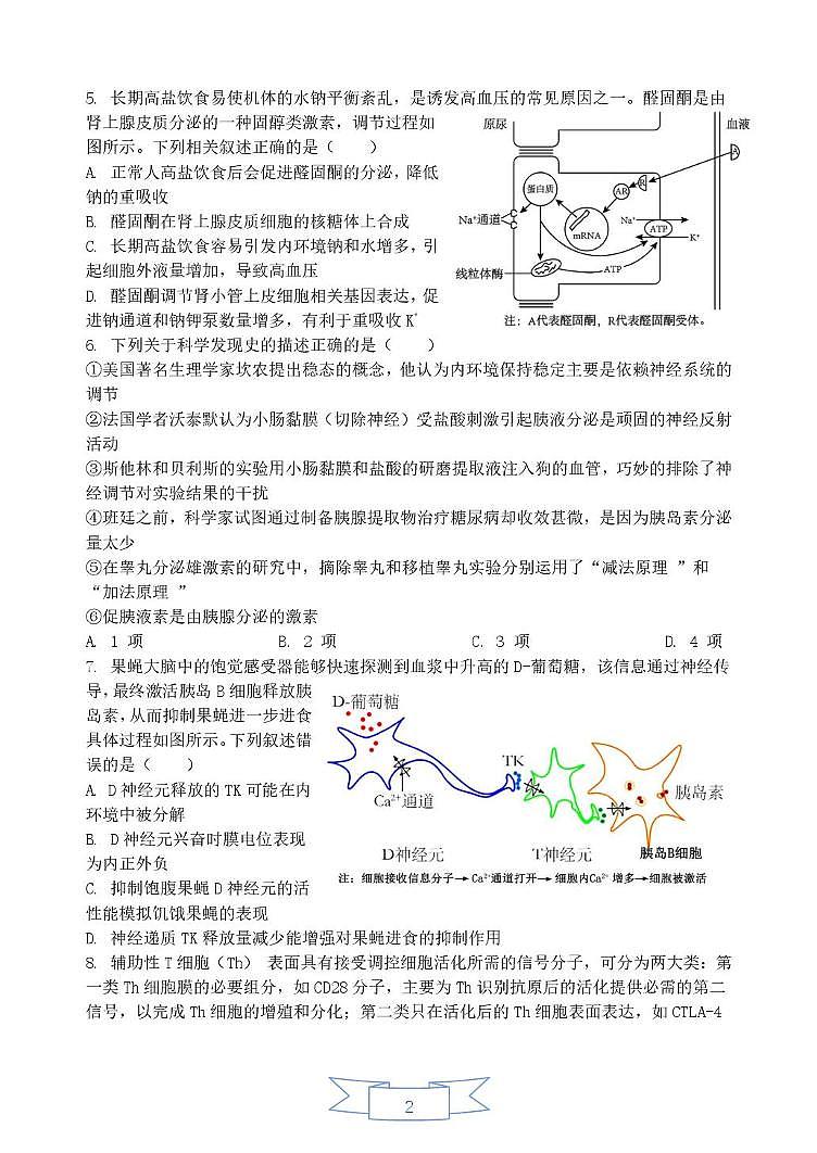 山东省德州市高中五校联考2024—2025学年高二上学期期末考试生物试题第2页
