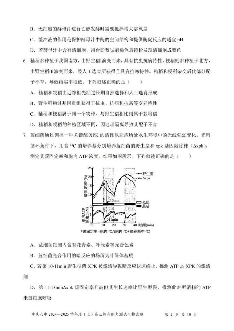 生物丨重庆市第八中学2025届高三1月期末综合能力测试(八中一诊)生物试卷及答案第2页