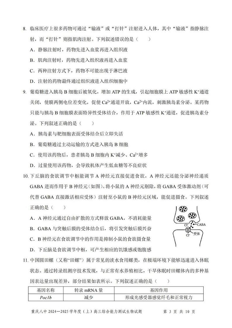 生物丨重庆市第八中学2025届高三1月期末综合能力测试(八中一诊)生物试卷及答案第3页