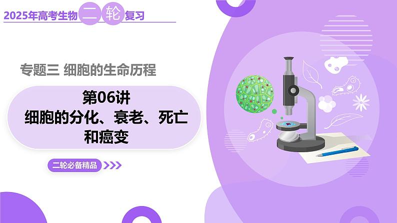 第06讲 细胞的分化、衰老、死亡和癌变(课件)-2025年高考生物二轮复习(新高考通用)第1页