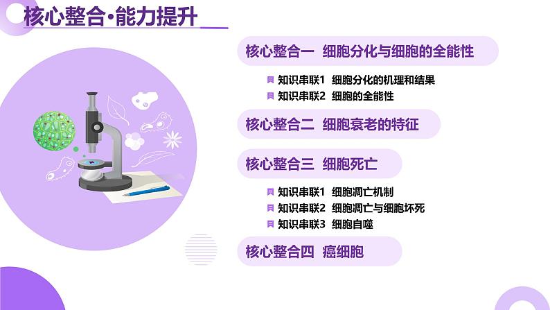 第06讲 细胞的分化、衰老、死亡和癌变(课件)-2025年高考生物二轮复习(新高考通用)第6页