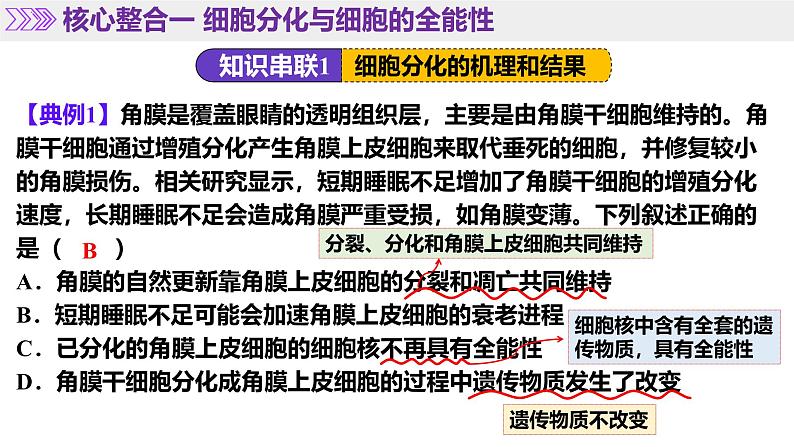 第06讲 细胞的分化、衰老、死亡和癌变(课件)-2025年高考生物二轮复习(新高考通用)第8页