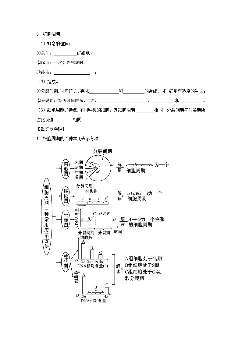 专题10_细胞的有丝分裂(学生版)第2页