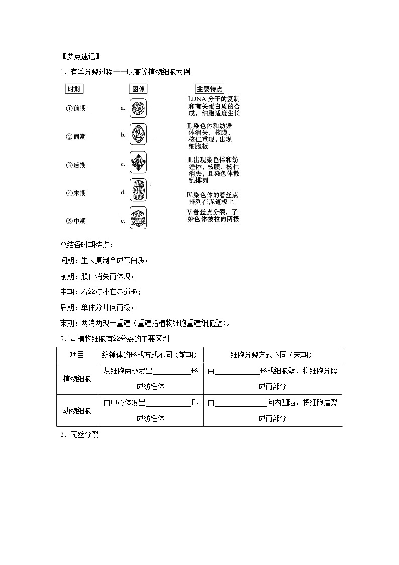 专题10_细胞的有丝分裂(教师版)第3页