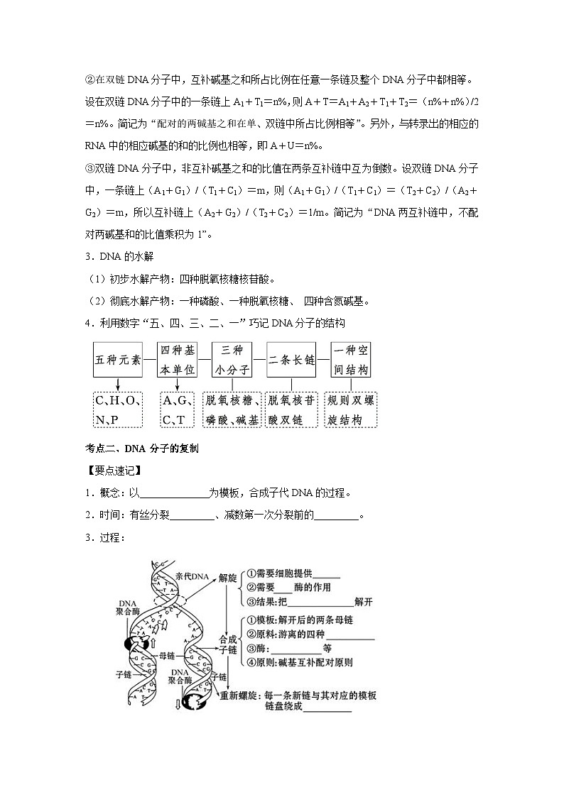 专题17_DNA的结构、复制与基因的本质(教师版)第3页