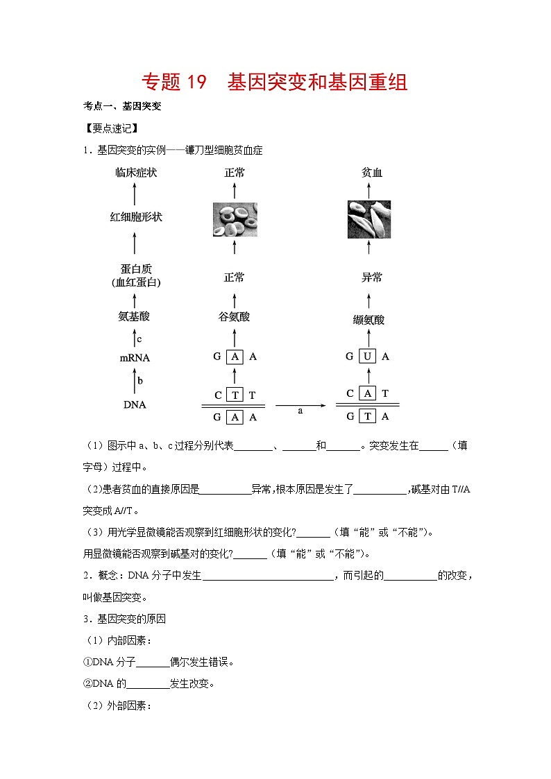 专题19 基因突变和基因重组(学生版)第1页