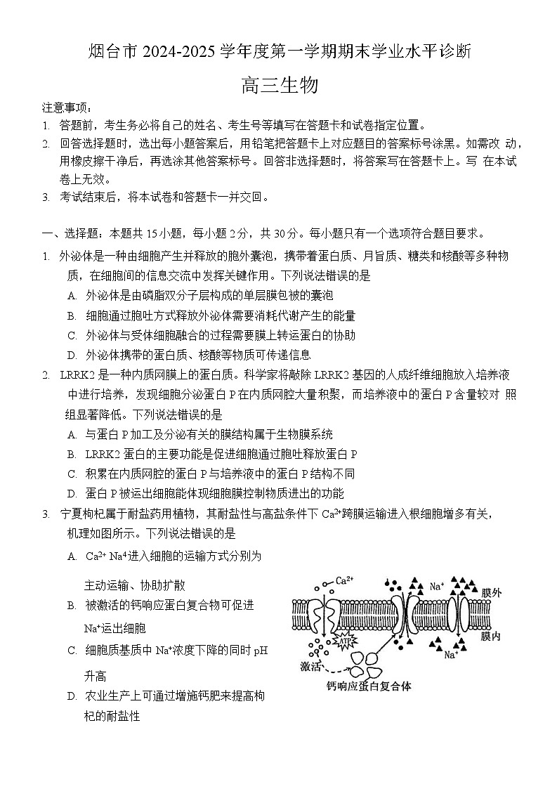 山东省烟台市2024-2025学年度第一学期期末学业水平诊断高三生物试题及答案第1页